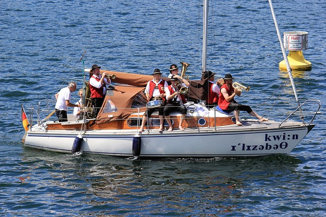 打进的一粒 打进的一粒