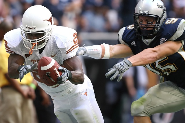 的主要动力 的主要动力