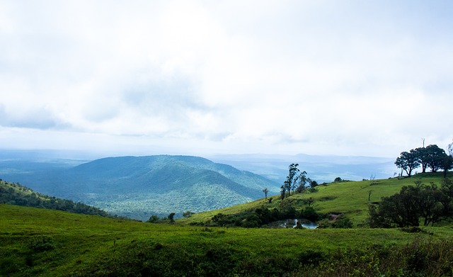 洲足球未来 洲足球未来