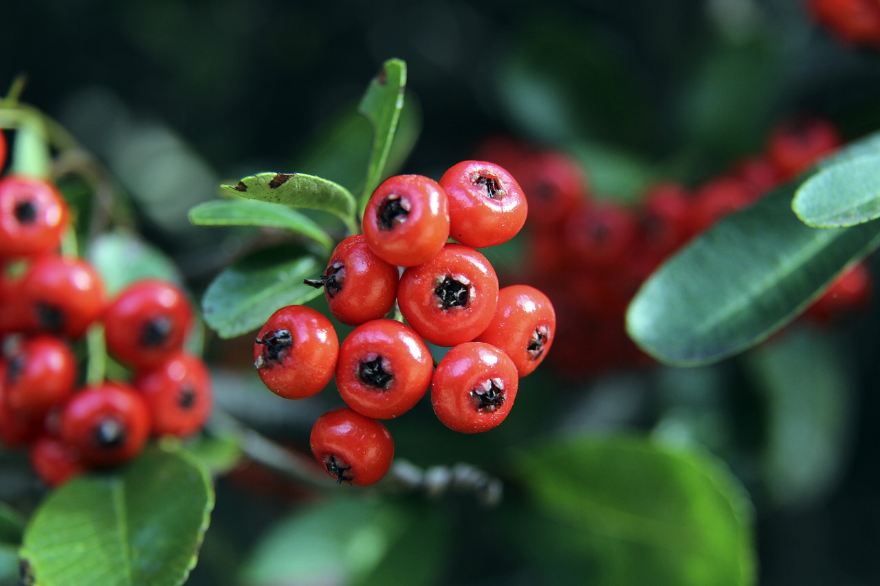 对于场馆运 对于场馆运