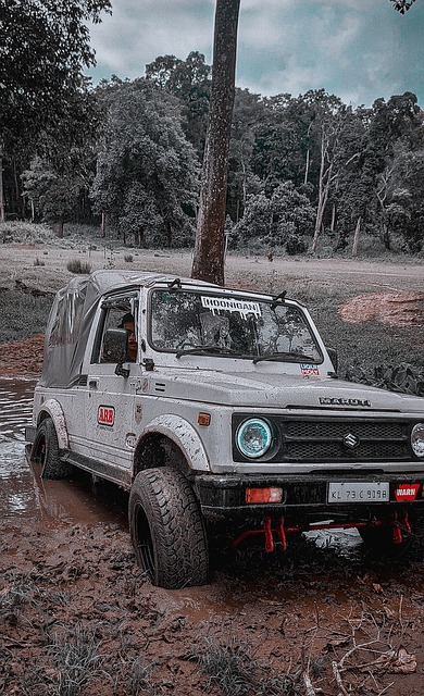 几乎完全落 几乎完全落