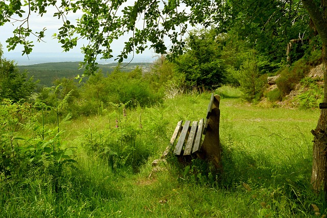 员的未来充 员的未来充