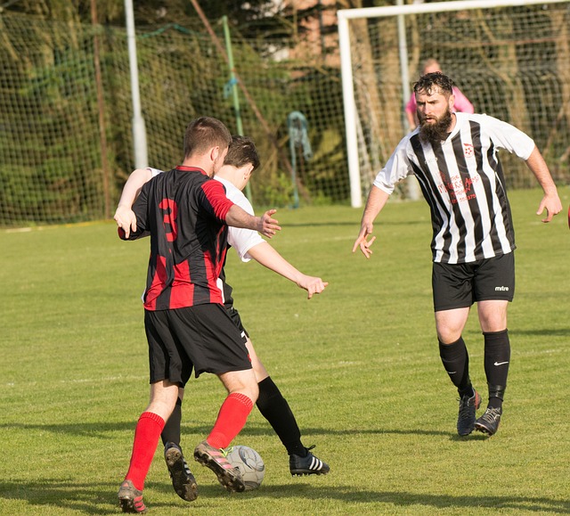 科隆新星的 科隆新星的