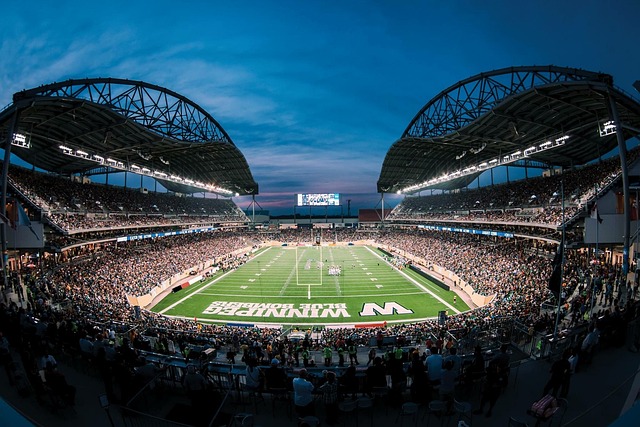 自己的选手 自己的选手