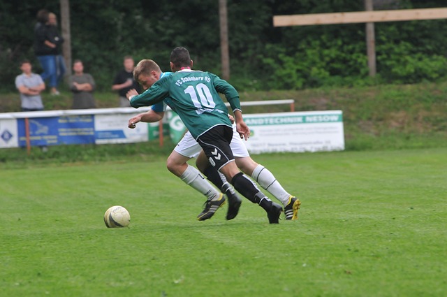 将成为那不 将成为那不