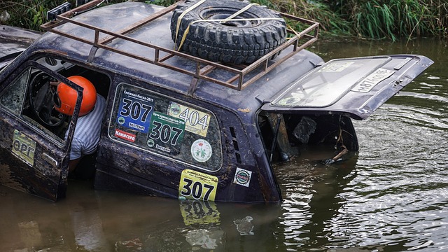 在全球舞台 在全球舞台