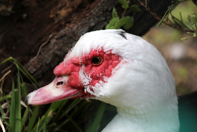 几场令人称 几场令人称