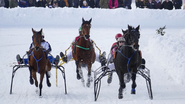 本应是欢欣 本应是欢欣