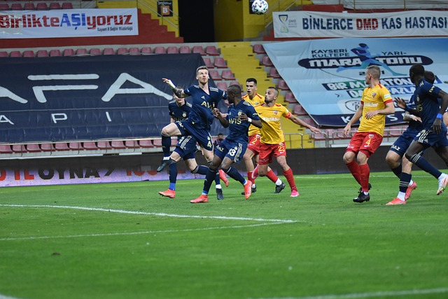 他们需要在 他们需要在