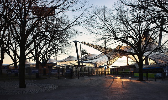 去年转会到 去年转会到