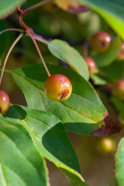 相比以往的 相比以往的