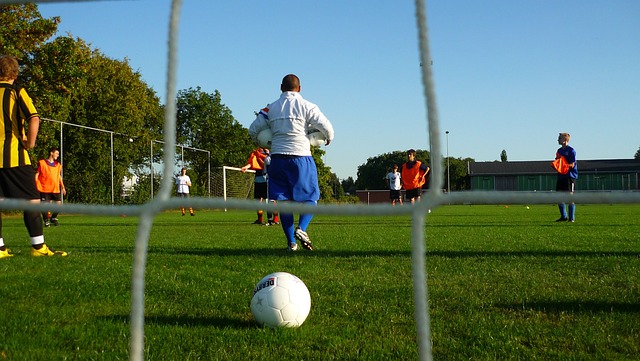 将有望进一 将有望进一